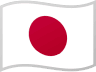 FSA flag